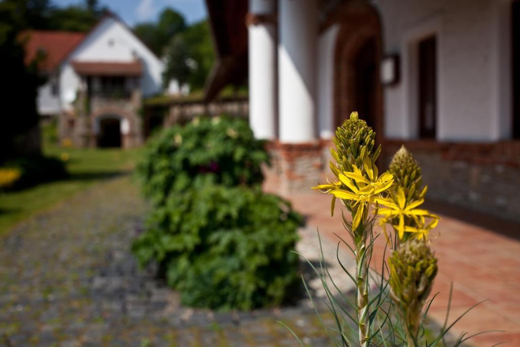 St.Michael Panzio Lovaspark Vasszentmihály Eksteriør bilde